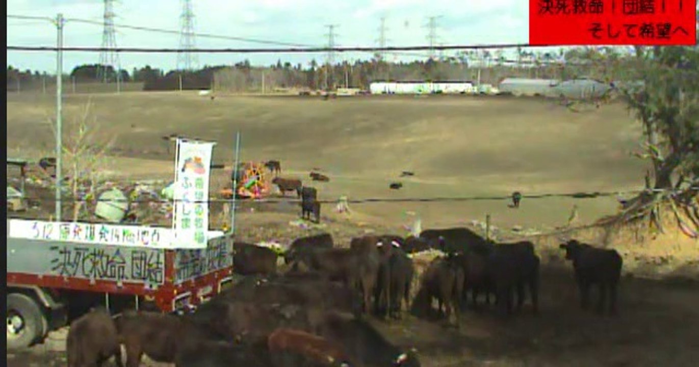 2014-03-11 10-51　牧場１号機　吉沢さん