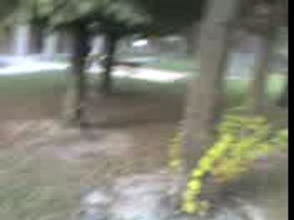 quad suzuki