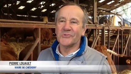 "T'emmerdes pas avec ça !"