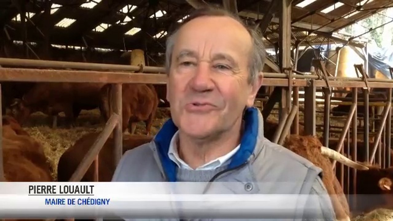 "T'emmerdes pas avec ça !"