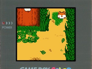 Hamtaro : Bienvenue au Club ! (Parte 7)