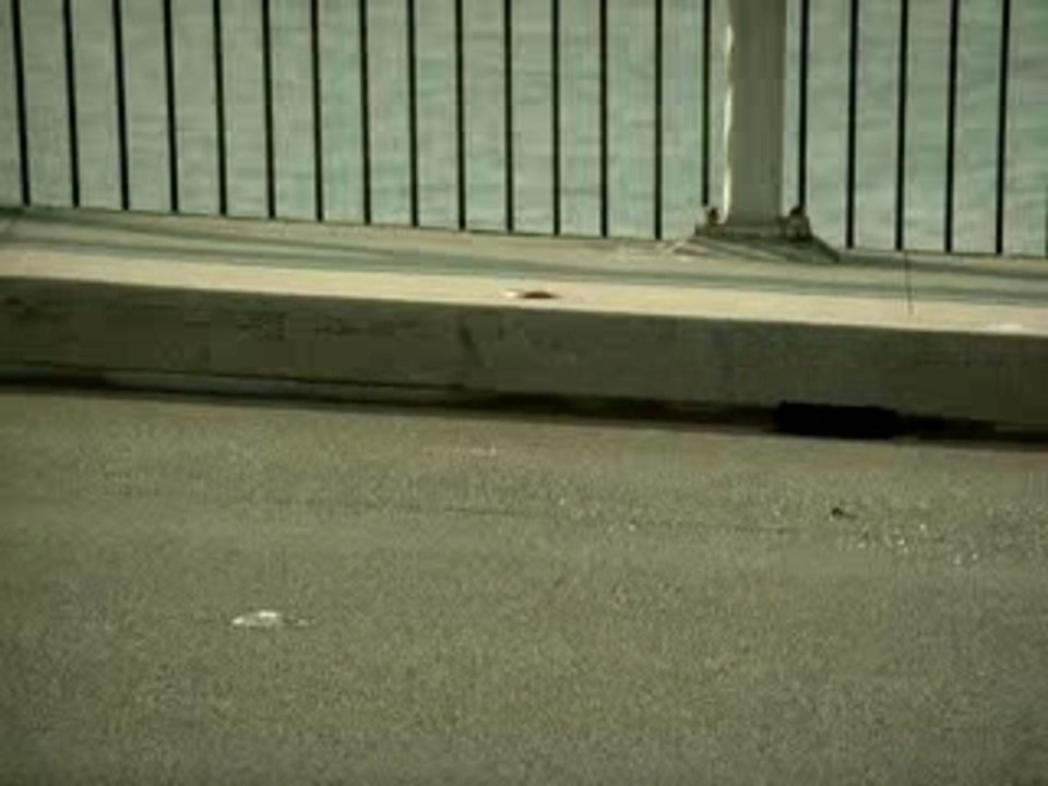 Anti-Vole