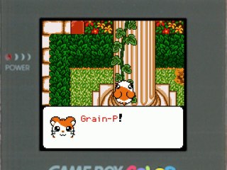 Hamtaro : Bienvenue au Club ! (Parte 8)