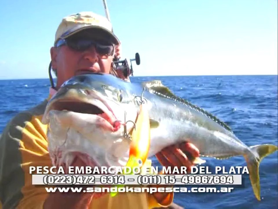 Panorama TV 169