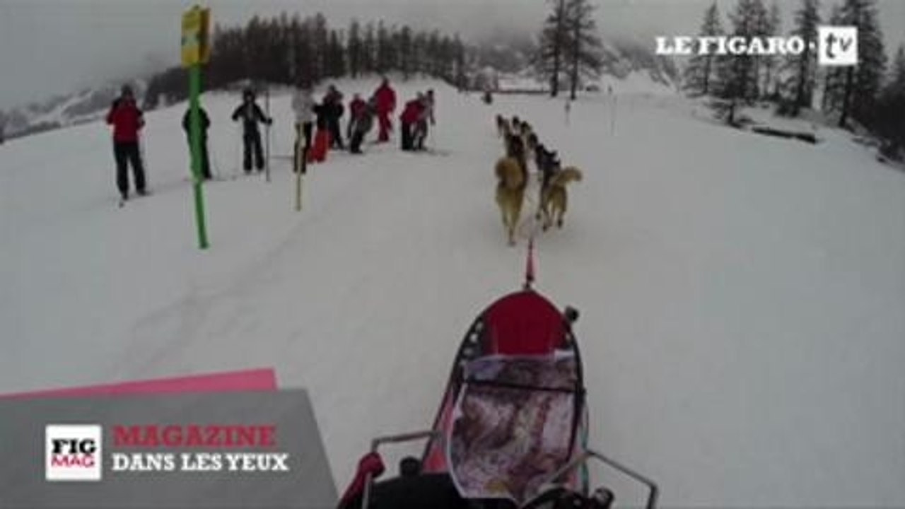 Dans les yeux... d'un musher, conducteur de chi...