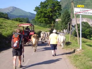 Guide LEPERE du Chemin d'Arles