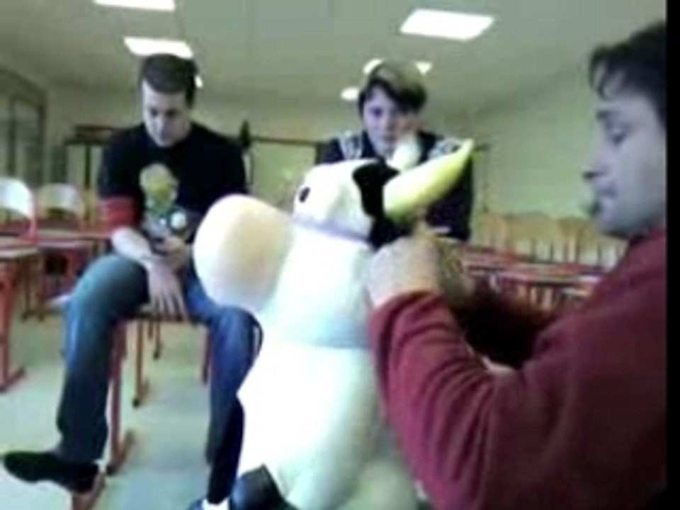 Mutilation de la mascotte