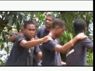 DELPHIN (pecto raiky )