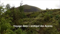 Voyage dans l'archipel des Açores