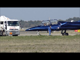 Albatros à Perpignan