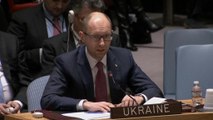 Ukraine PM addresses UN Security Council on Crimea