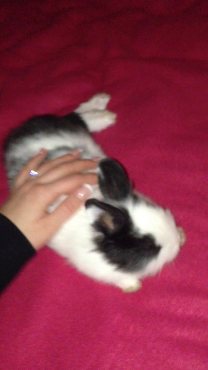 Kiana gros dodo !