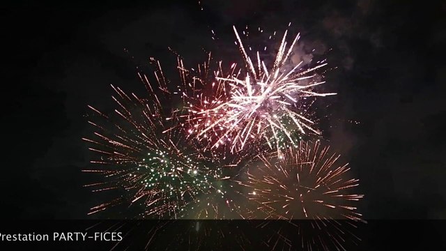 Anderlues (Be) Carnaval 2014 Vidéo et Montage SLY CE Prestation PARTY-FICES