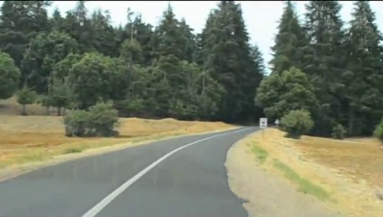 Ifrane, les Chemins Forestiers :