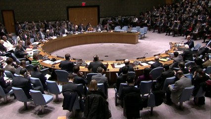 Ukraine PM to UN: Still chance to resolve crisis peacefully