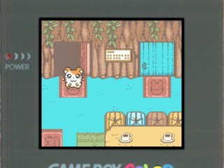 Hamtaro : Bienvenue au Club ! (Parte 14, Chemin de Topla)