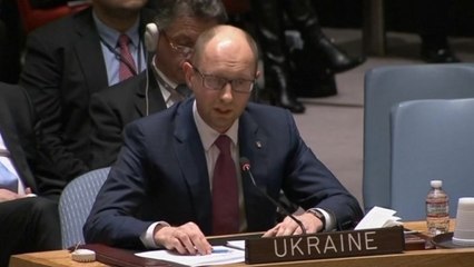 Ukraine's PM appeals to U.N. over Crimea