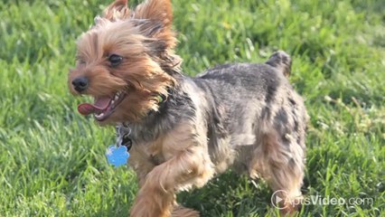 Lost Lake Apartments in Jacksonville, FL - ForRent.com