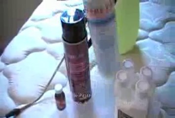 Bed Bug Control: Professional Bed Bug Spray