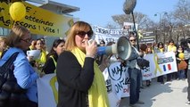 Million woman march for endometriosis Paris 13/3/2014 discours de Marie-Anne