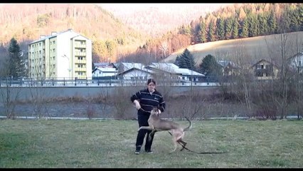 Be Aware Funky @ Obedience (13.03.2014)