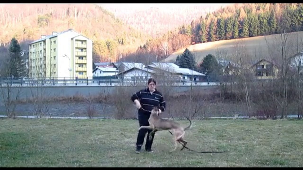 Be Aware Funky @ Obedience (13.03.2014)