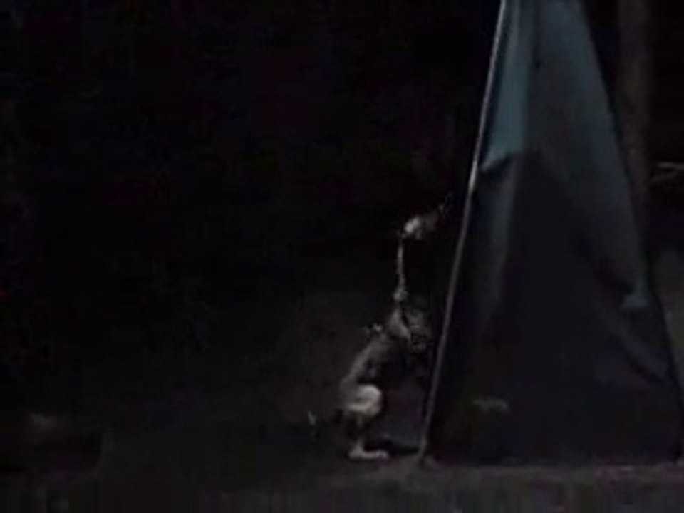 Be Aware Flash @ Schutzdienst (01.03.2014)