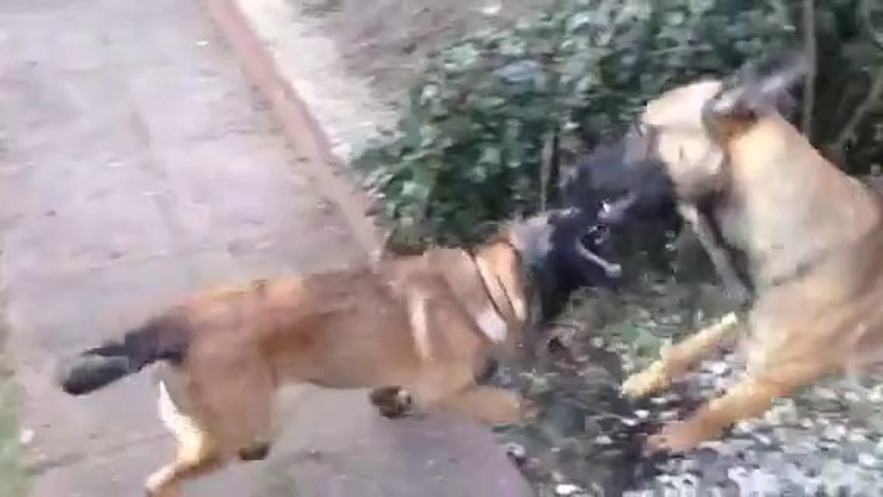 Be Aware Flash & Nezmar @ Play