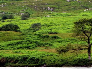 CIRO PERRINO Ireland - Meditation Music