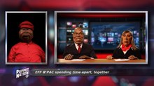 PNN 3.1