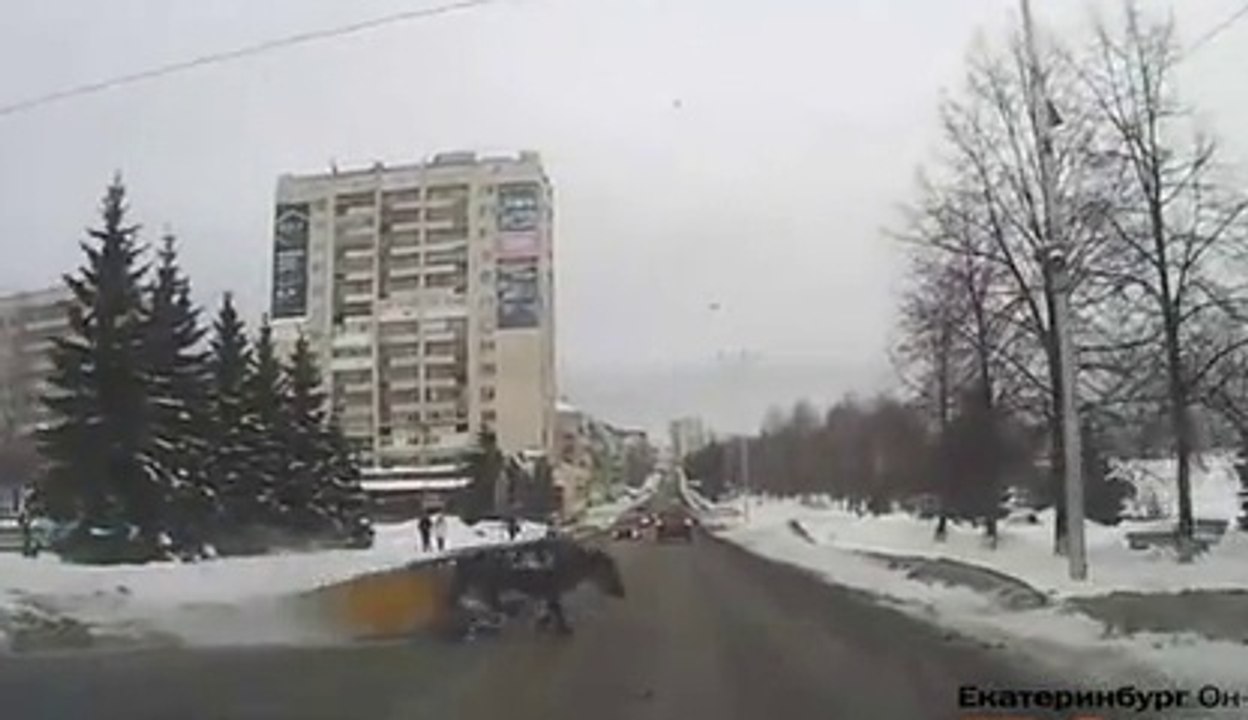 Accident en calèche... les russes sont les meilleurs pour ça!