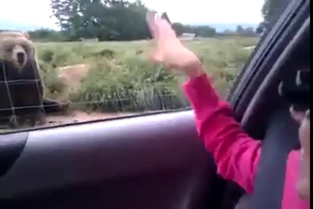 http://www.youtube.com/watch?v=EKftZOl1Z80