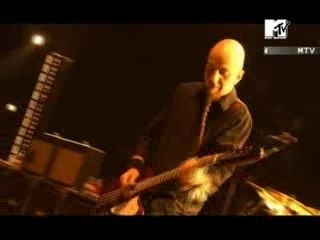 soad-science-xvid-2005