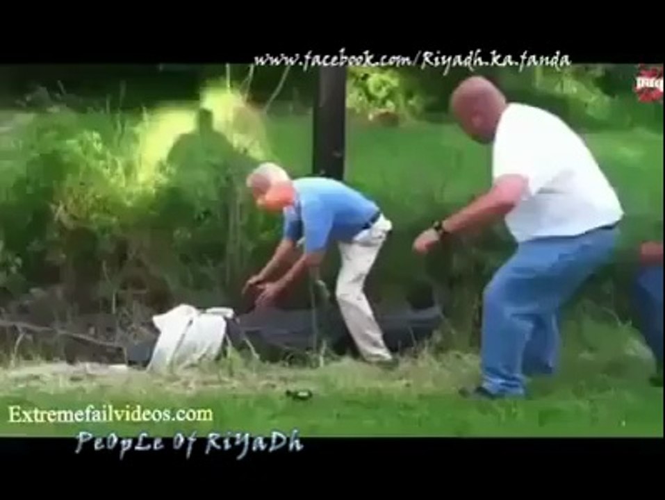 Animals attacks on human