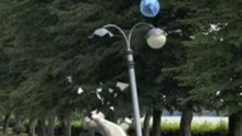 Balloon