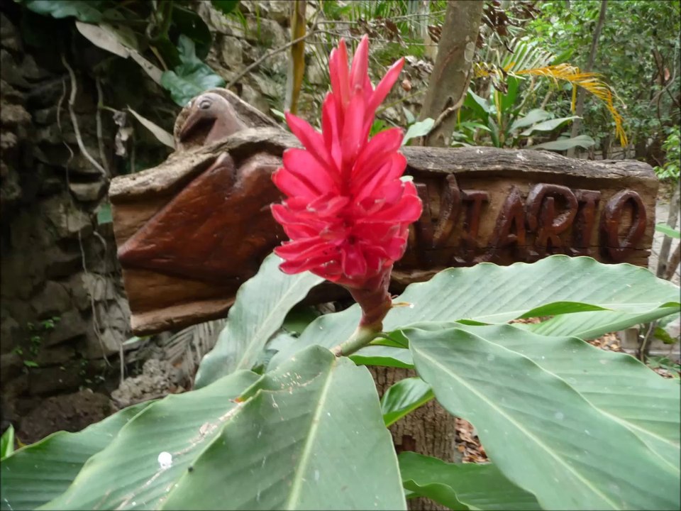 DIAPORAMA ZOOMAT ZOOLOGICO ZOO TUXTLA GUITIREZ