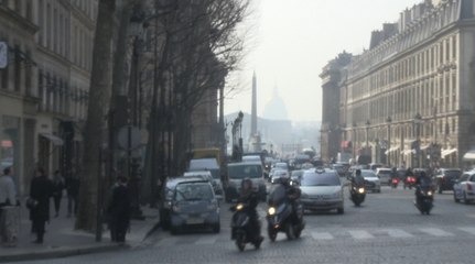 Pic de pollution: Paris est malade