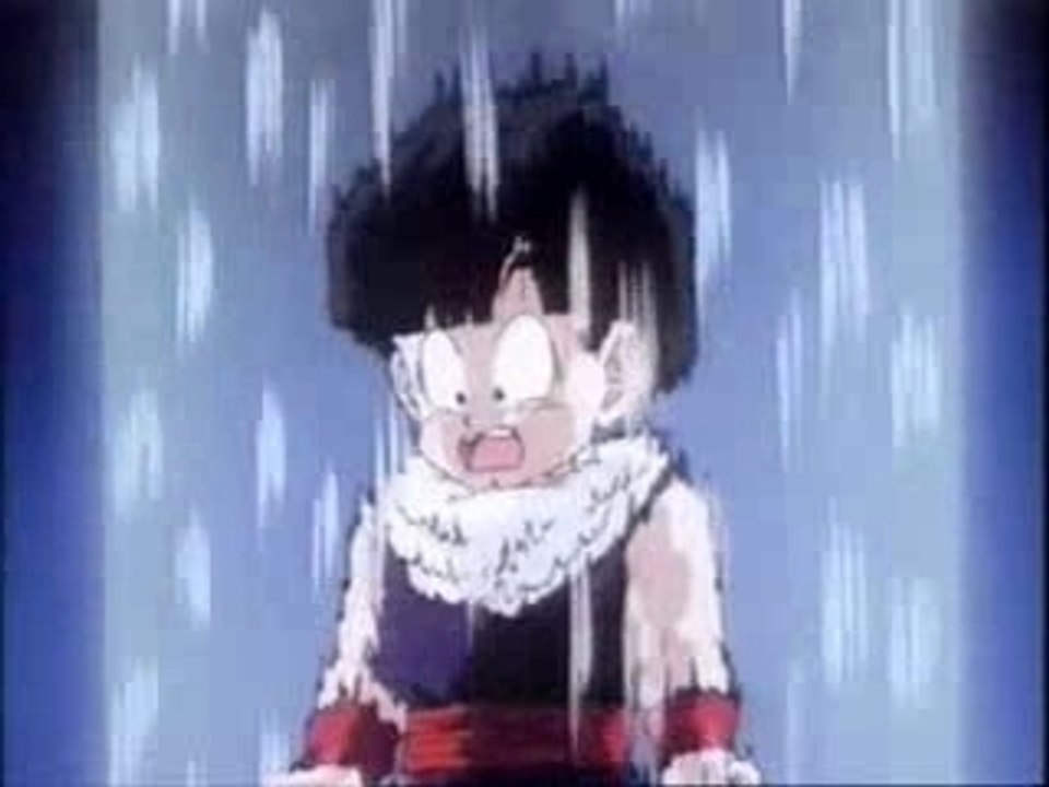dbz fr
