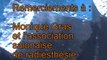 conference presse 1.5 voyance radiesthesie ecriture litterature philosophie marco bruna 13300 marcoartcomesp artcomesp salon provence