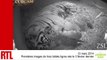 VIDÉO - Les premières images de trois bébés tigres nés au zoo de Londres