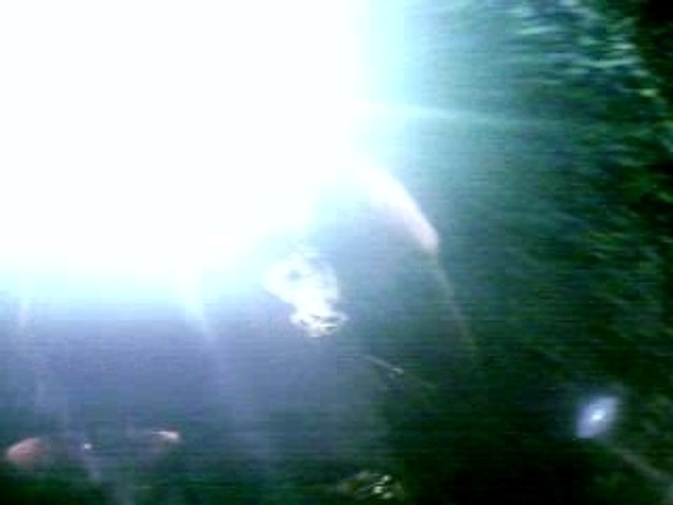 Marie mai concert du 18:12 au bataclan