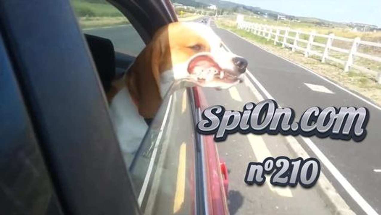 Le Zap de Spi0n n°210 - Zapping du Web