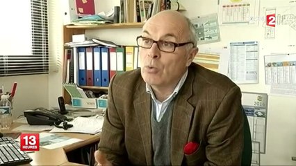 Bretagne : neuf oiseaux mazoutés soignés et remis en liberté