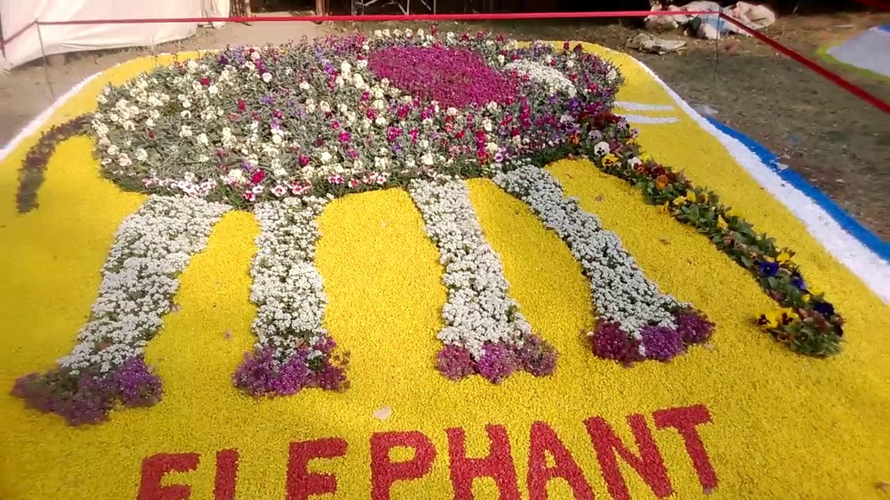 Karachi zoo