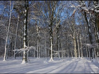 Petite-Rosselle en janvier 2010