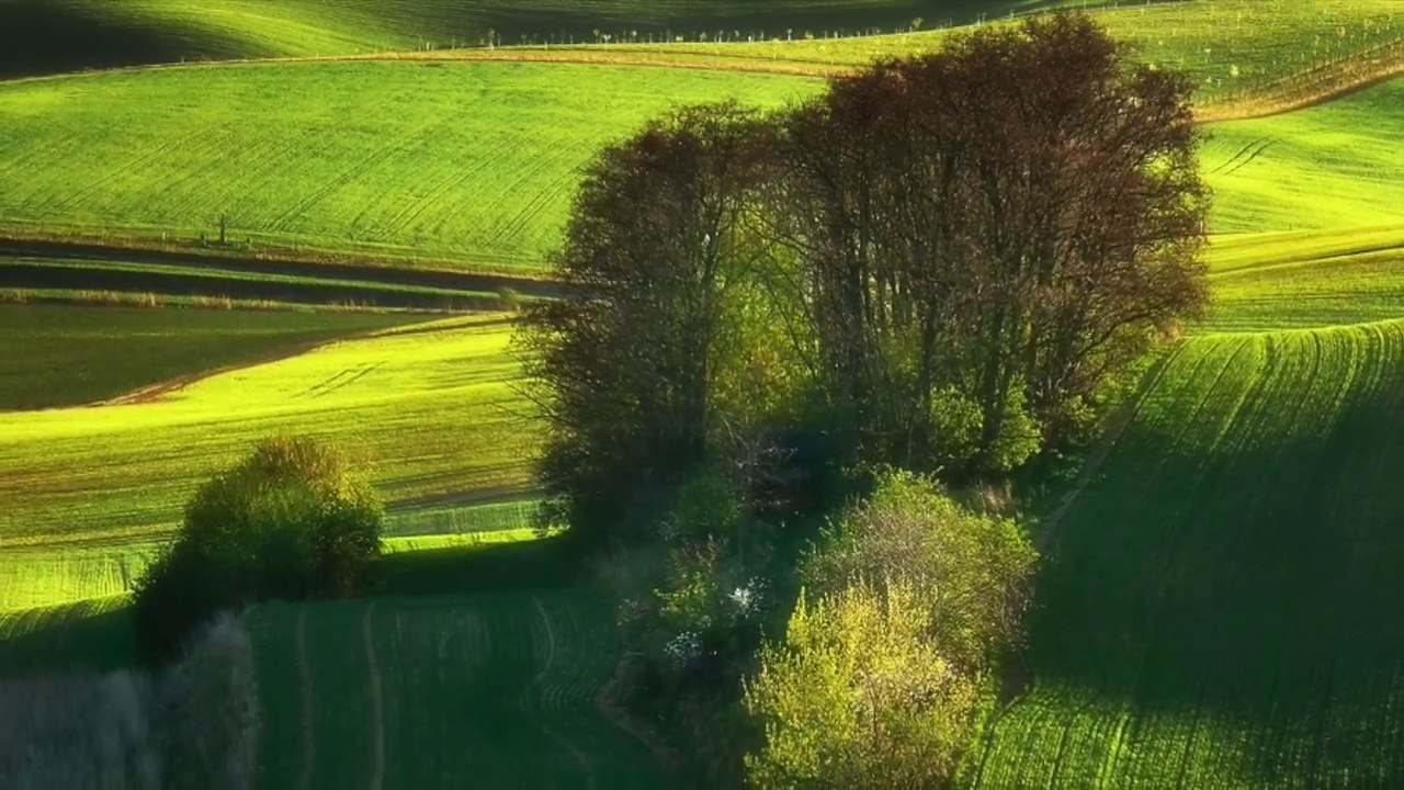 Awakening Of The Spring