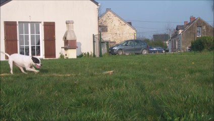 Eclipse 77th Running DW Turns 2014-03-14