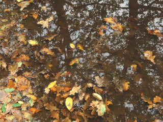 CIRO PERRINO Nel silenzio accetti e comprendi - Meditation Music