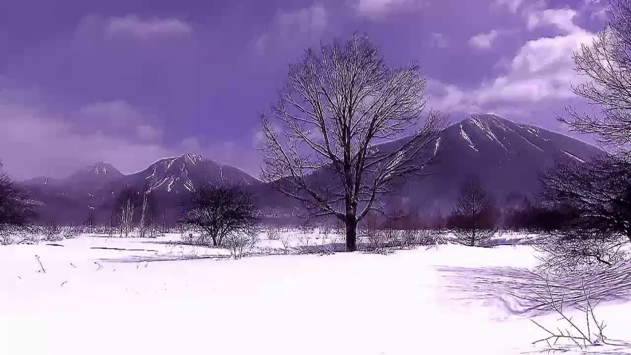 Brahms { Symphony No.1-1,No4-1 } from Nikko in Japan