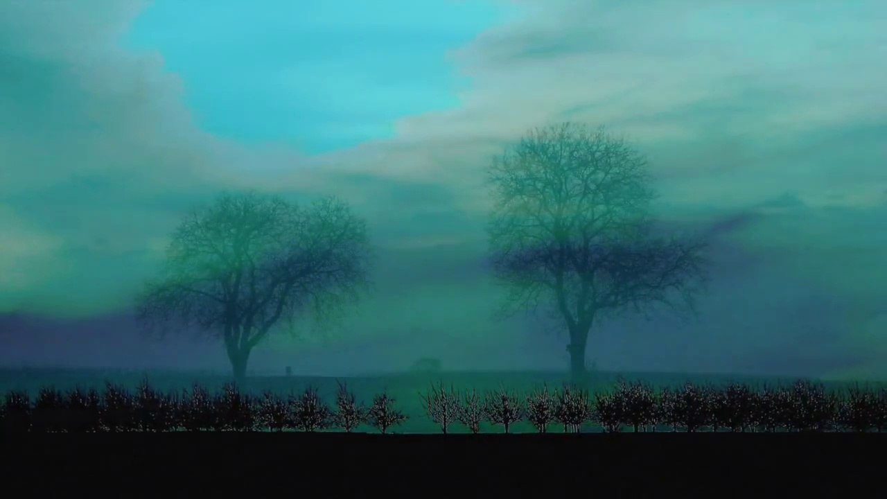 Śniące drzewa (Dreaming Trees)